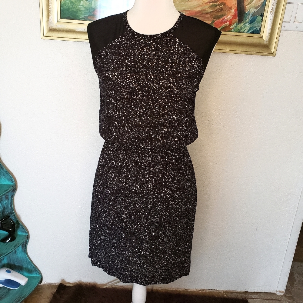 Banana Republic Black and White Sleeveless Dress 4